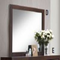 ACM-25794 MIRROR OBERREIT WALN