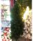 LOK-AL17-122C XMAS TREE 6FT/600T