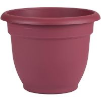 BLO-AP0813 ARIANA PLANTER BU RED