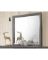 ACM-22705 MIRROR IRELAND GRAY OA