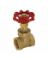 EZF-20008 GATE VALVE 3/4IPS W/BR