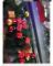 LOK-AL16-160 XMAS GARLAND 25CM 2