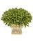 THR-39292 FAUX TOPIARY GRASS POT