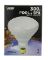 HAL-300R/FL-12 R-40 POOL BULB FL