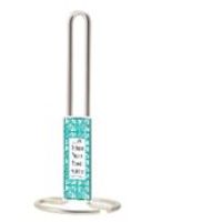 EW-EW4006 PAPER TOWEL HOLDER NIC