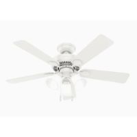 HUN-50885 44 SWANSON FW CEILING