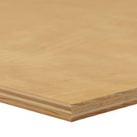 PLYWOOD 1/4 BIRCH C2 UV 1S (11/3