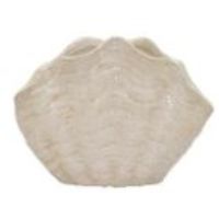 THR-41708 SHELL