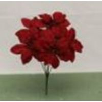 CS-31404227DK9 VELVET POINSETTIA