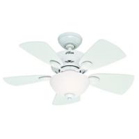 HUN-52089 34 WATSON WH CEILING F