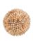 BID-41622 CONCH SHELL NAT LG