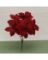 CS-31404227DK9 VELVET POINSETTIA