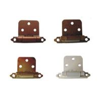 BRO-BR56450 2PIN CAB HINGE FL PB