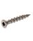 HIL-47436 SD SCREW 10X3 SS 1LB