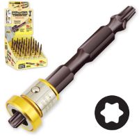 IVY-45859 T25 TORX DBL-ENDED MEG