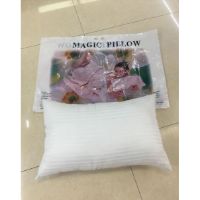 LOK-AL17-193A PILLOW 50X70 800G