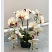 LOK-L001 ARTIFICIAL FLOWER