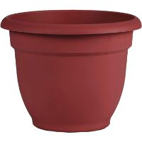 BLO-AP0613 ARIANA PLANTER BU RED