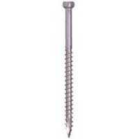 DEC-TRIM HD SCREW 8X2 100PC SS