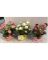 LOK-L010 ARTIFICIAL FLOWER