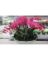 LOK-AL20-403 ARTIFICIAL FLOWER