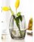 LOK-L031 GLASS VASE 4X9