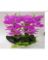LOK-AL20-405 ARTIFICIAL FLOWER