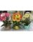 LOK-L021 ARTIFICIAL FLOWER