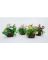 LOK-L109 ARTIFICIAL FLOWER