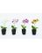LOK-L110 ARTIFICIAL FLOWER