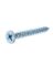 HIL-80219 FH SM SCREW 10X3