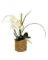 THR-82592 FAUX ORCHID FLOWER POT