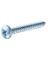 HIL-80084 PH SM SCREW 10X2