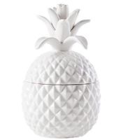 TOR-902642A CANISTER PINEAPPLE 8