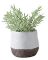 TOR-902108A CORSICA ROUND POT WH