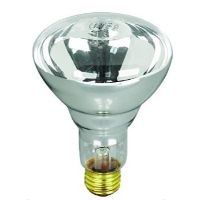 HAL-100R20/S-12 R-20 SPA BULB 12