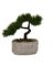 THR-12260 FAUX BONSAI IN FLWR PO