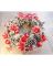 LOK-AL19-172 XMAS GARLAND 50CM