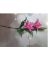 LOK-ARTIFICIAL FLOWER RINK/GREEN