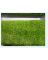 LOK-AL18-374 GRASS ART 80INX82FT