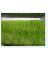 LOK-AL18-374 GRASS ART 80INX82FT