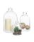 MYGIFT DECORATIVE GLASS CLR MED