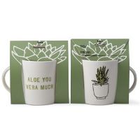 TAG-G11616 ALOE YOU VERA MUCH GI